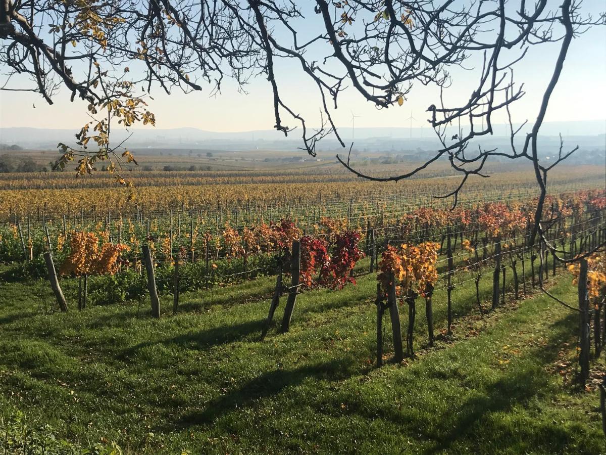 Weingut & Gastezimmer Edelmann Goettlesbrunn Exterior photo