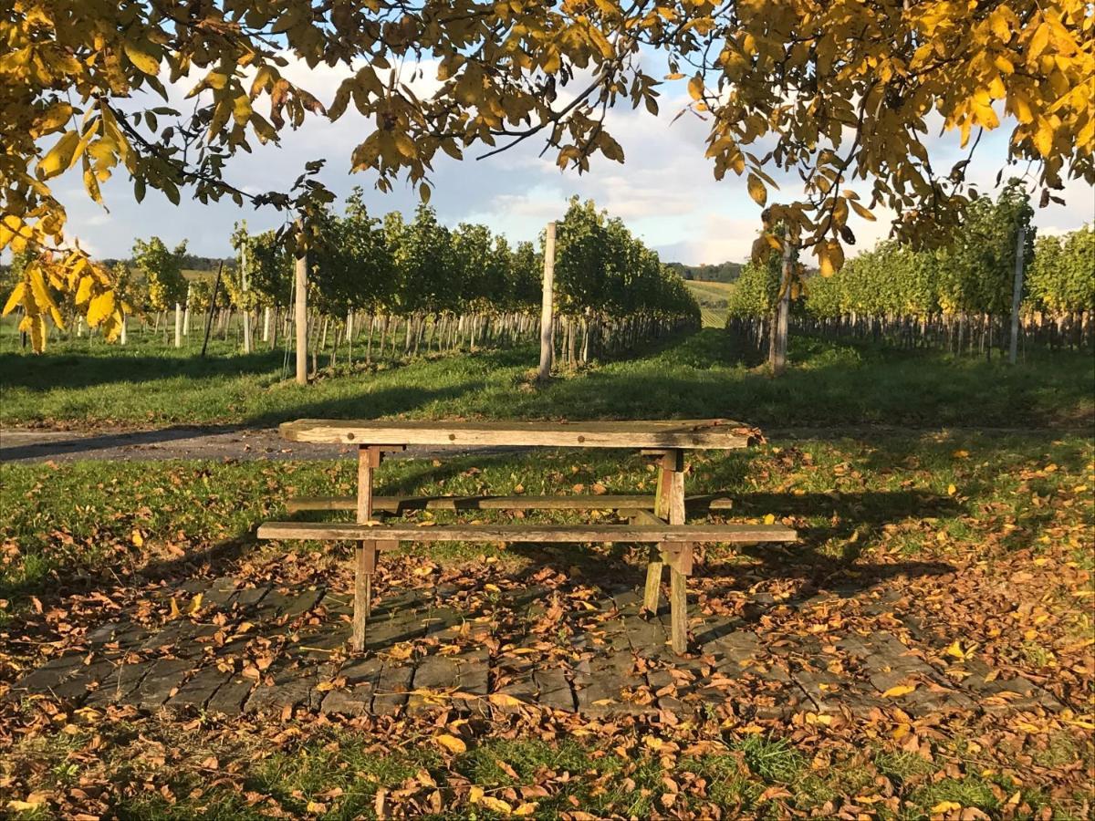 Weingut & Gastezimmer Edelmann Goettlesbrunn Exterior photo