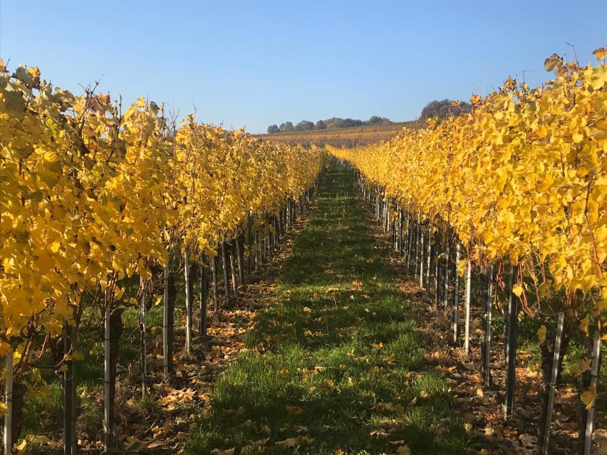 Weingut & Gastezimmer Edelmann Goettlesbrunn Exterior photo